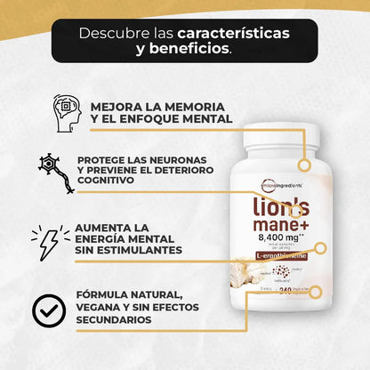 Melena de León 🍄‍🟫🦁- Equilibrio mental, energía y claridad (60 cápsulas)