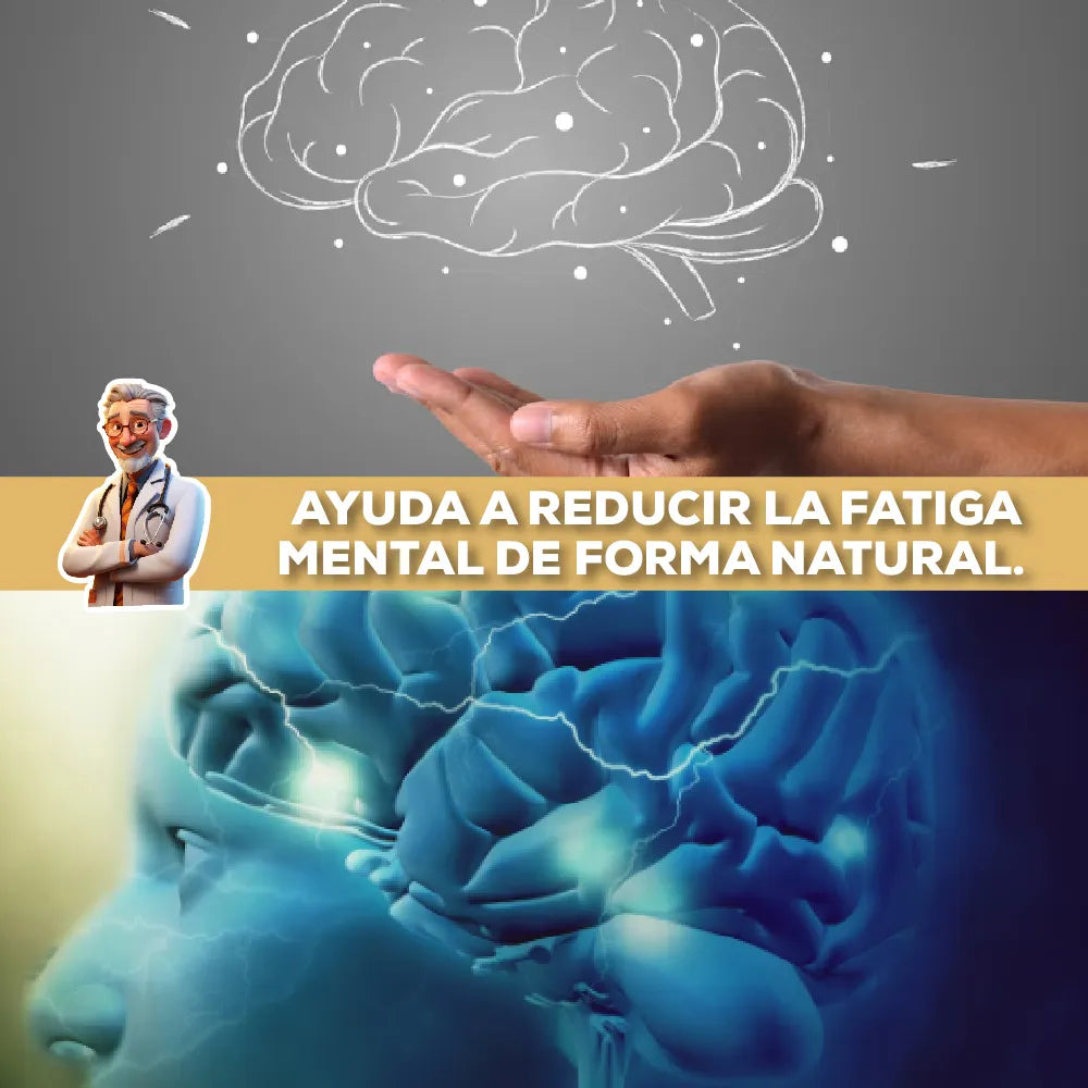 Melena de León 🍄‍🟫🦁- Equilibrio mental, energía y claridad (60 cápsulas)